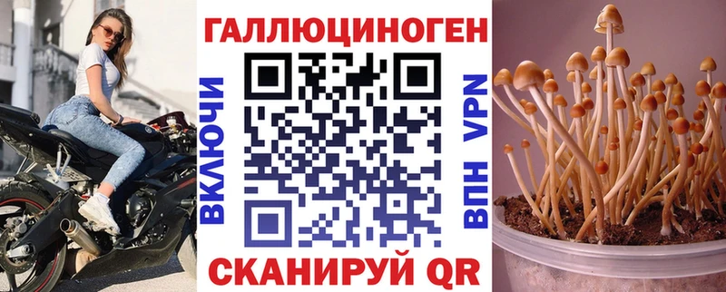 Купить где  Чухлома  Галлюциногенные грибы мухоморы 